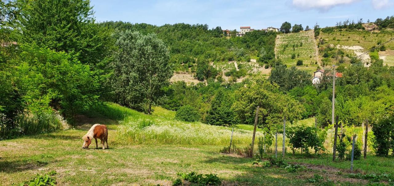 Agriturismo Il Burlino Apartments Lerma Extérieur photo